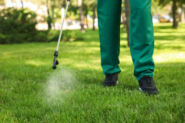 Pest Control for Restaurants in Battle Ground, WA