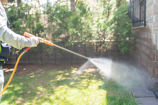 Best Insect Control  in Battle Ground, WA